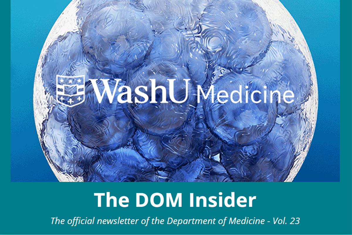 The DOM Insider Volume 23