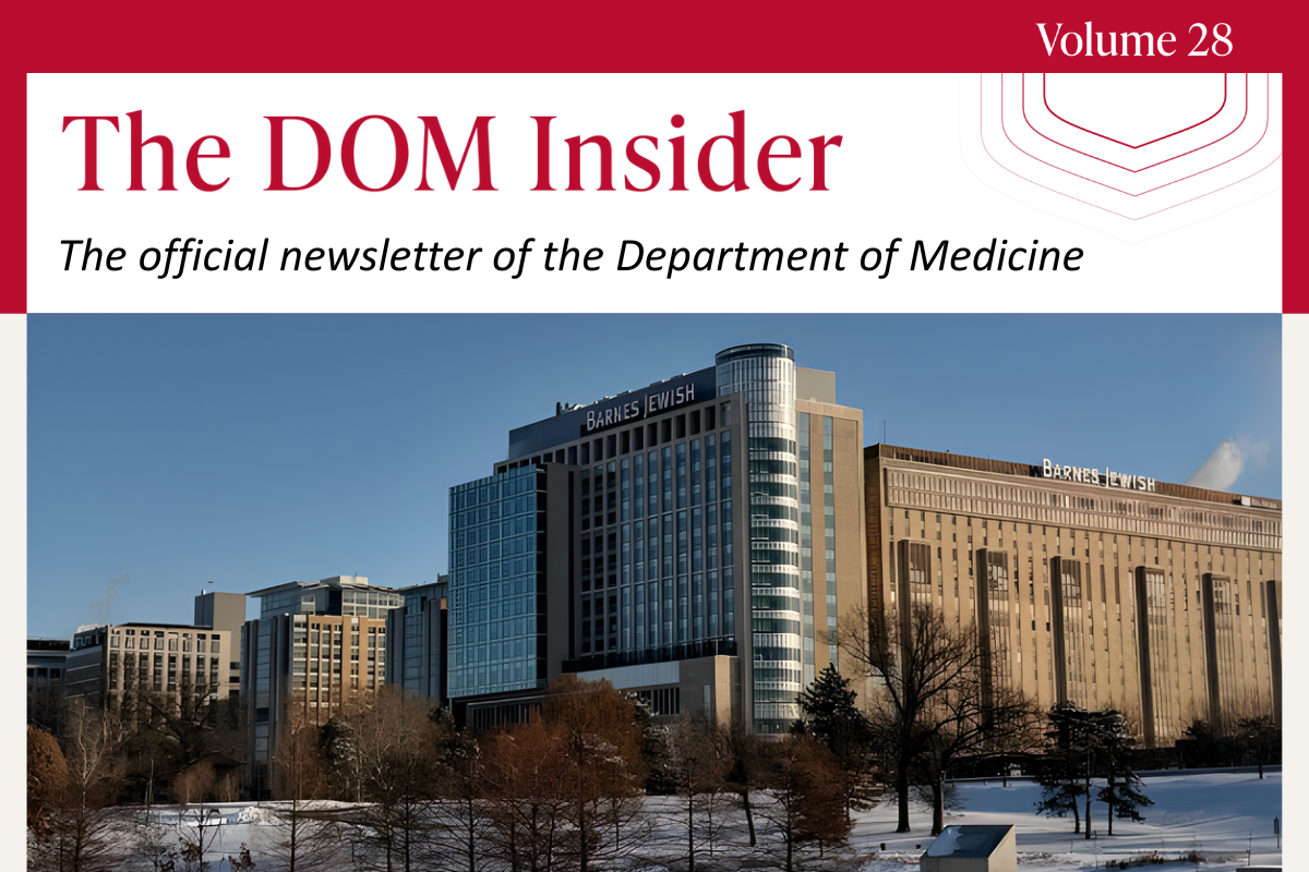 The DOM Insider Volume 28